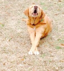 Welcome Tuck!