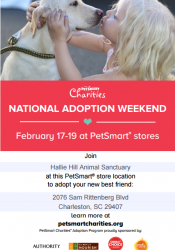 Join Us for This National Adoption Event!