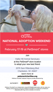 Join Us for This National Adoption Event!