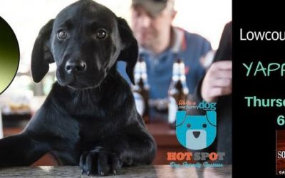 Join Us for Yappy Hour!