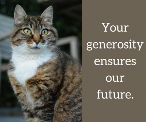 Leave a legacy of love.