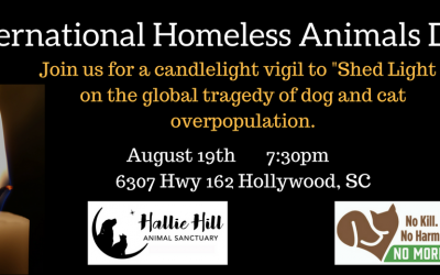 International Homeless Animals’ Day