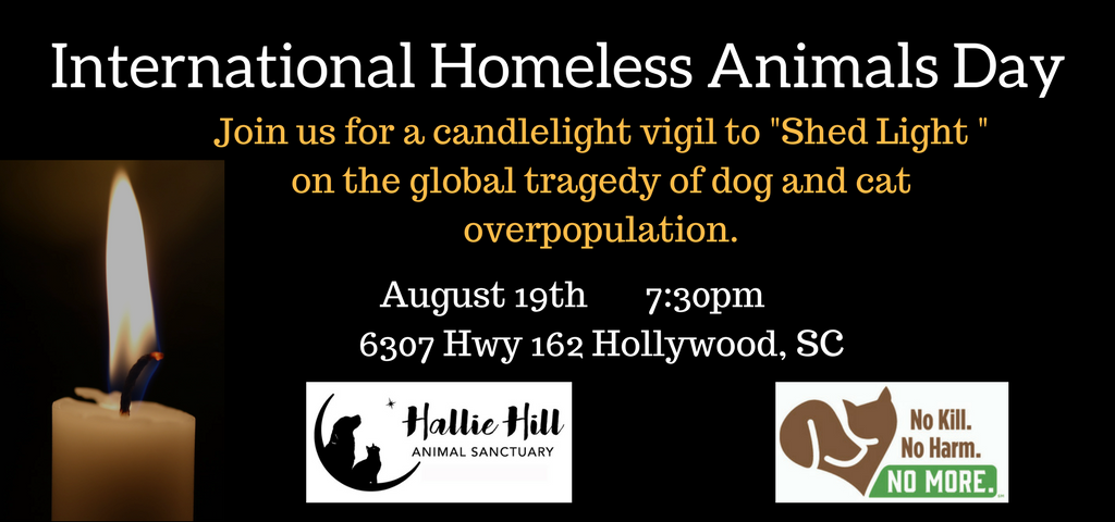 International Homeless Animals’ Day