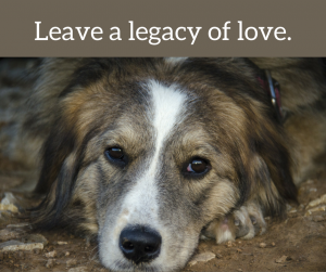 Leave a legacy of love.