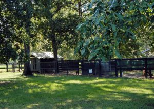 Shelter Outdoors Hallie Hill