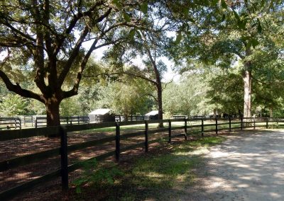 Outdoor shelters for dogs Hallie Hill