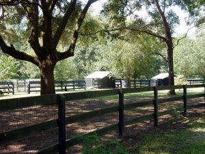 Picture of shelters at Hallie Hill