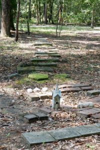 Angels Crossing