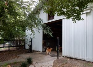 External Barn at Hallie Hill Dog Adoption