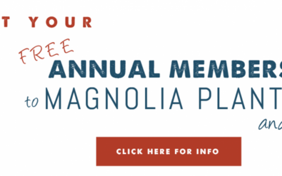 Get a Free Pass to Magnolia Plantation and Gardens