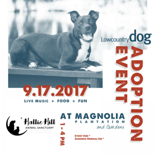 Low Country Adoption Event