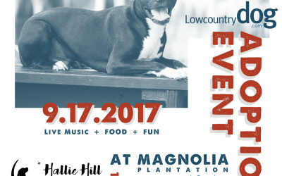 Magnolia Plantation Adoption Event