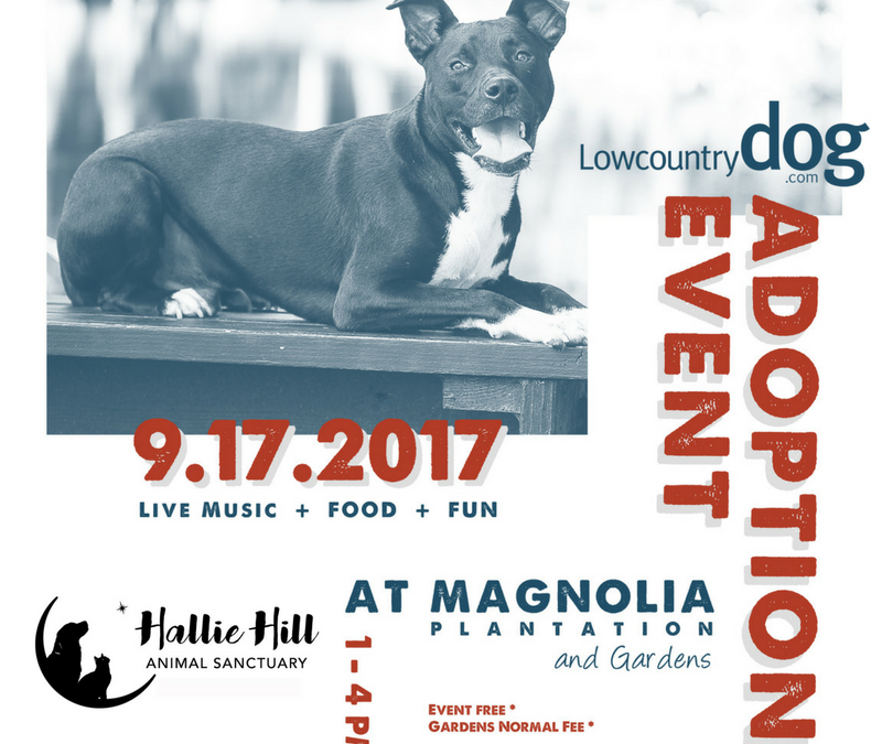 Magnolia Plantation Adoption Event