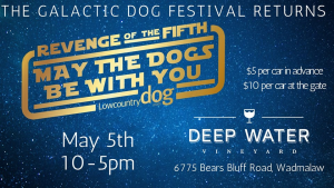 Galactic Dog Festival Graphic