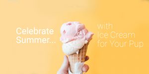 Ice Cream For Pups Large Graphic