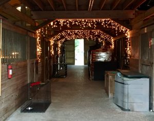 Interior Photo Barn Animal Sanctuary