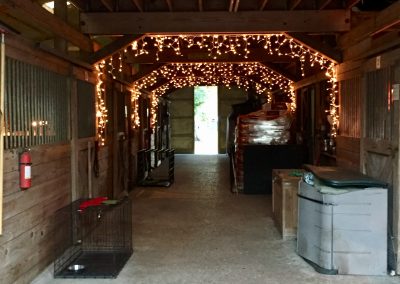 Interior Photo Barn Animal Sanctuary