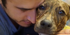 Sad Dog Being Hugged By Man Before Adoption