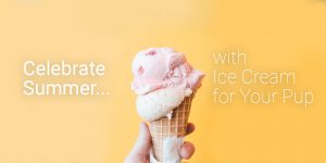 Ice Cream Graphic Charleston Pet Sanctuary