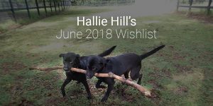 Happy Dogs With Stick Hallie Hill