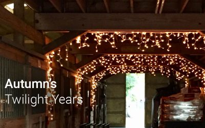 Autumn’s Twilight Years
