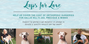 Laps for Love Graphic Hallie Hill Animal Sanctuary