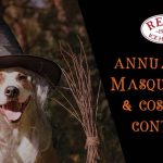 Pet Masquerade and Costume Contest