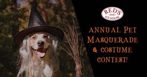 Pet Masquerade and Costume Contest Graphic