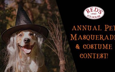 Pet Masquerade and Costume Contest