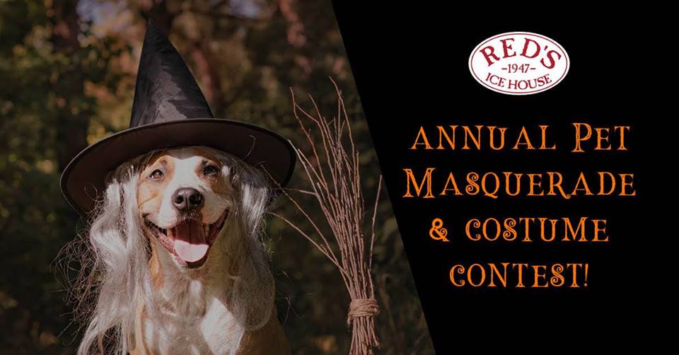 Pet Masquerade and Costume Contest