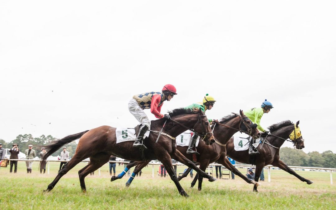 Steeplechase of Charleston