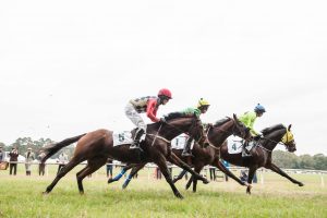 Steeplechase of Charleston Hallie Hill