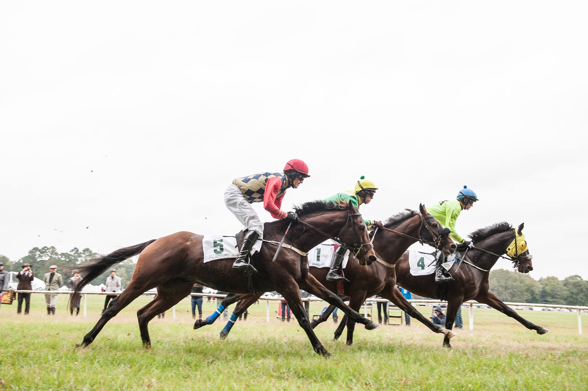 Steeplechase of Charleston Hallie Hill Animal Sanctuary