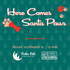 Santa Paws Hallie Hill Pet Shelter SC
