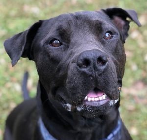 Hallie Hill Giving Tuesday Tyson Close Up