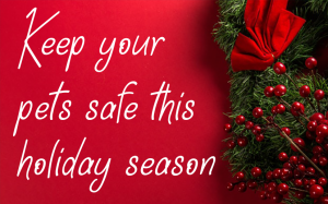 Holiday Season Pet Safety Bulletin
