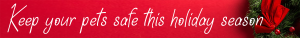 Holiday Safety for pets banner