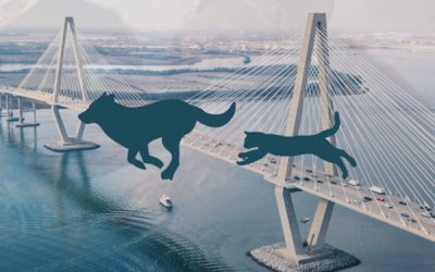 Bridge the Gap