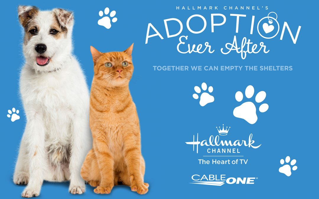 Adoption Ever After