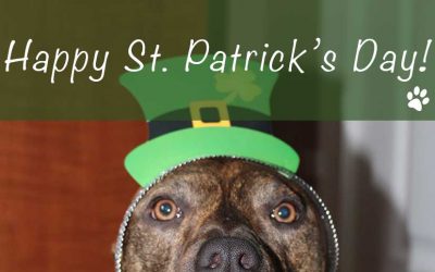 Happy St. Patrick’s Day from Hallie Hill!