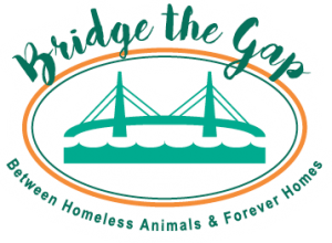 Bridge The Gap Run