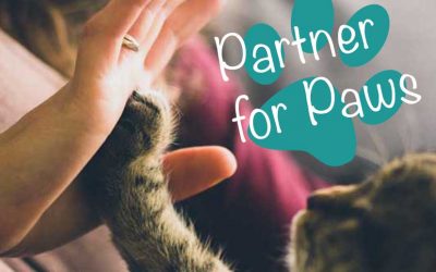 Partner for Paws