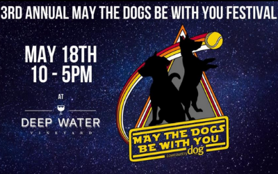 May the Dogs Be With You Festival