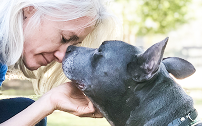 A New Year Letter from our Executive Director