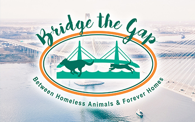 Bridge the Gap 2020