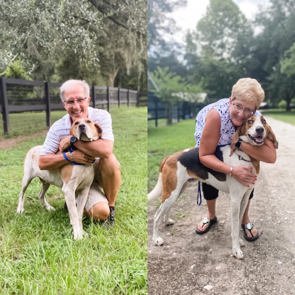 Hounds at Hallie Hill Animal Sanctuary