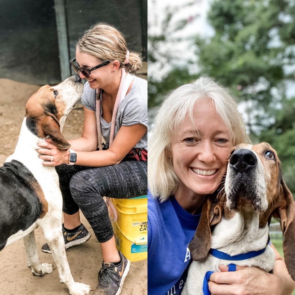 Hounds at Hallie Hill Animal Sanctuary