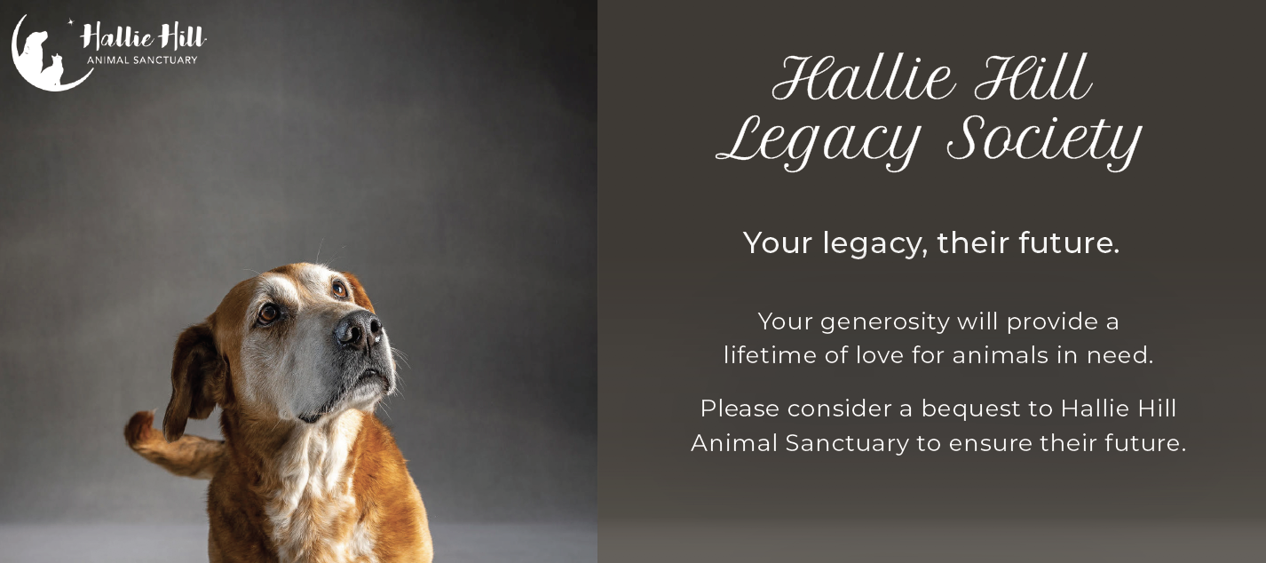 Hallie Hill Legacy Society Hallie Hill Animal Sanctuary
