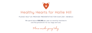 Healthy Hearts for Hallie Hill