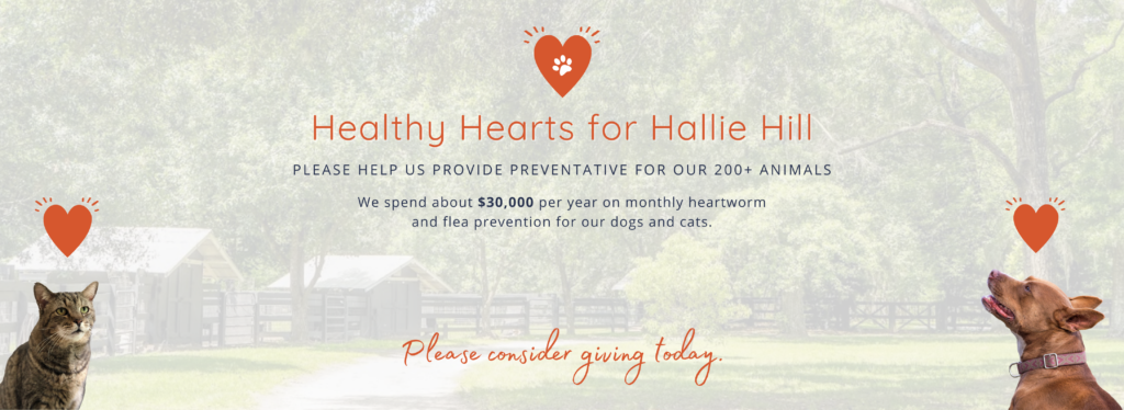 Healthy Hearts for Hallie Hill